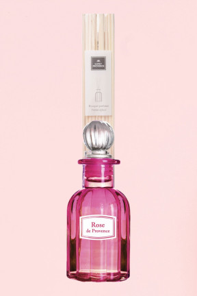 Rose provence