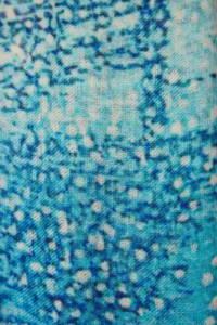 Bleu