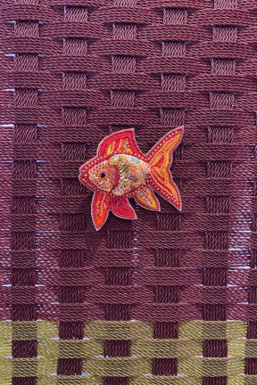 Poisson rouge