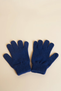 Bleu marine