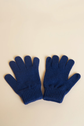 Bleu marine