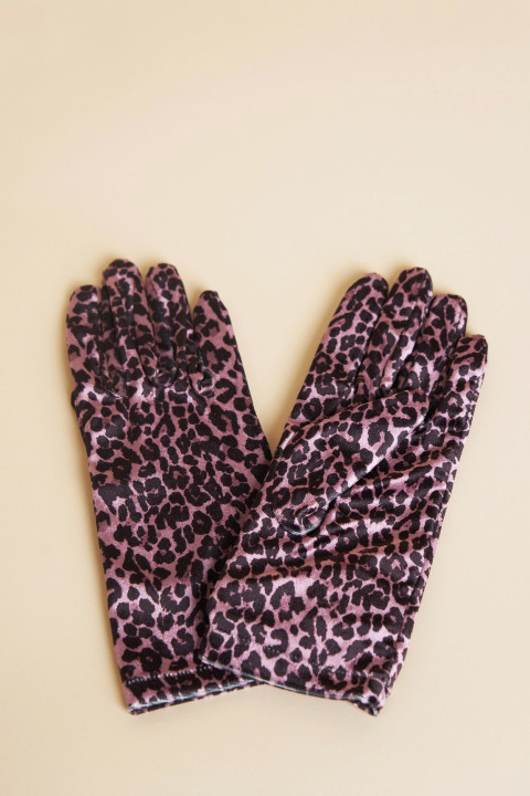 Leopard rose