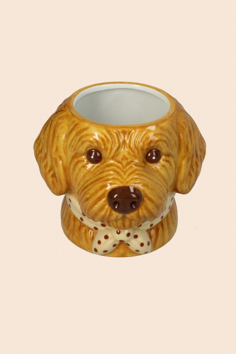 Chien