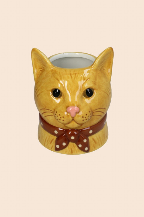 Chat