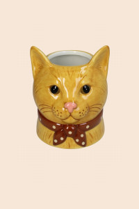 Chat