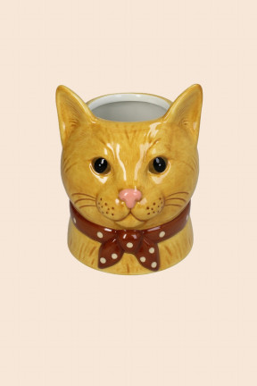 Chat