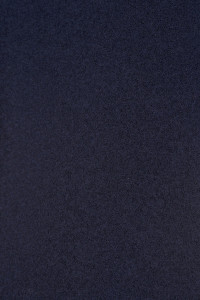 Bleu marine