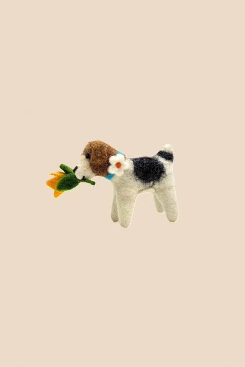 Fox terrier fleur