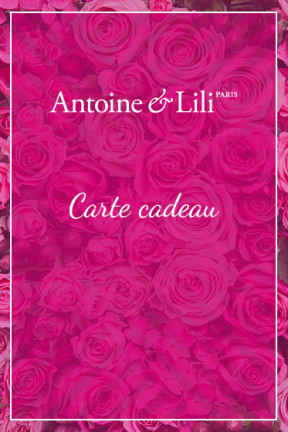 
			                        			Carte cadeau